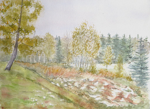 paysage de tourbière à l'automne